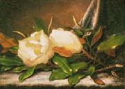Martin Johnson Heade Giant Magnolias Norge oil painting reproduction